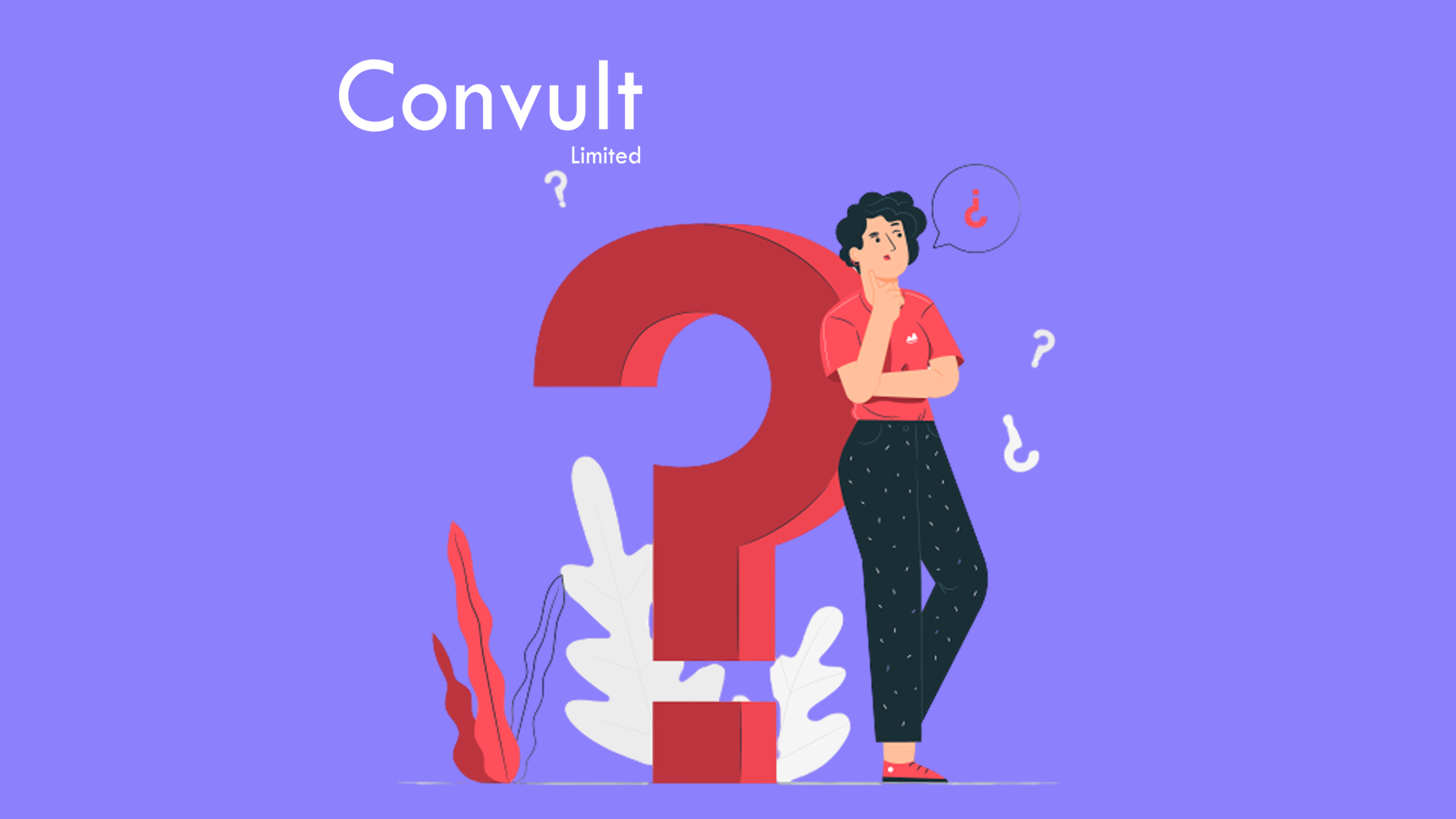 What Are The Key Things A Web Designer Will Ask Before Starting To Work On Your Website