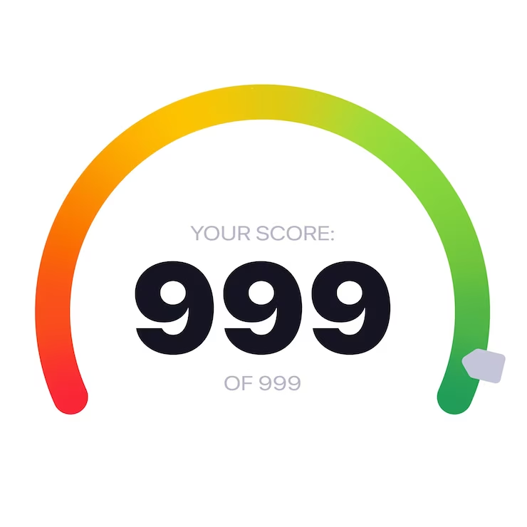 Wordpress Website Page Speed